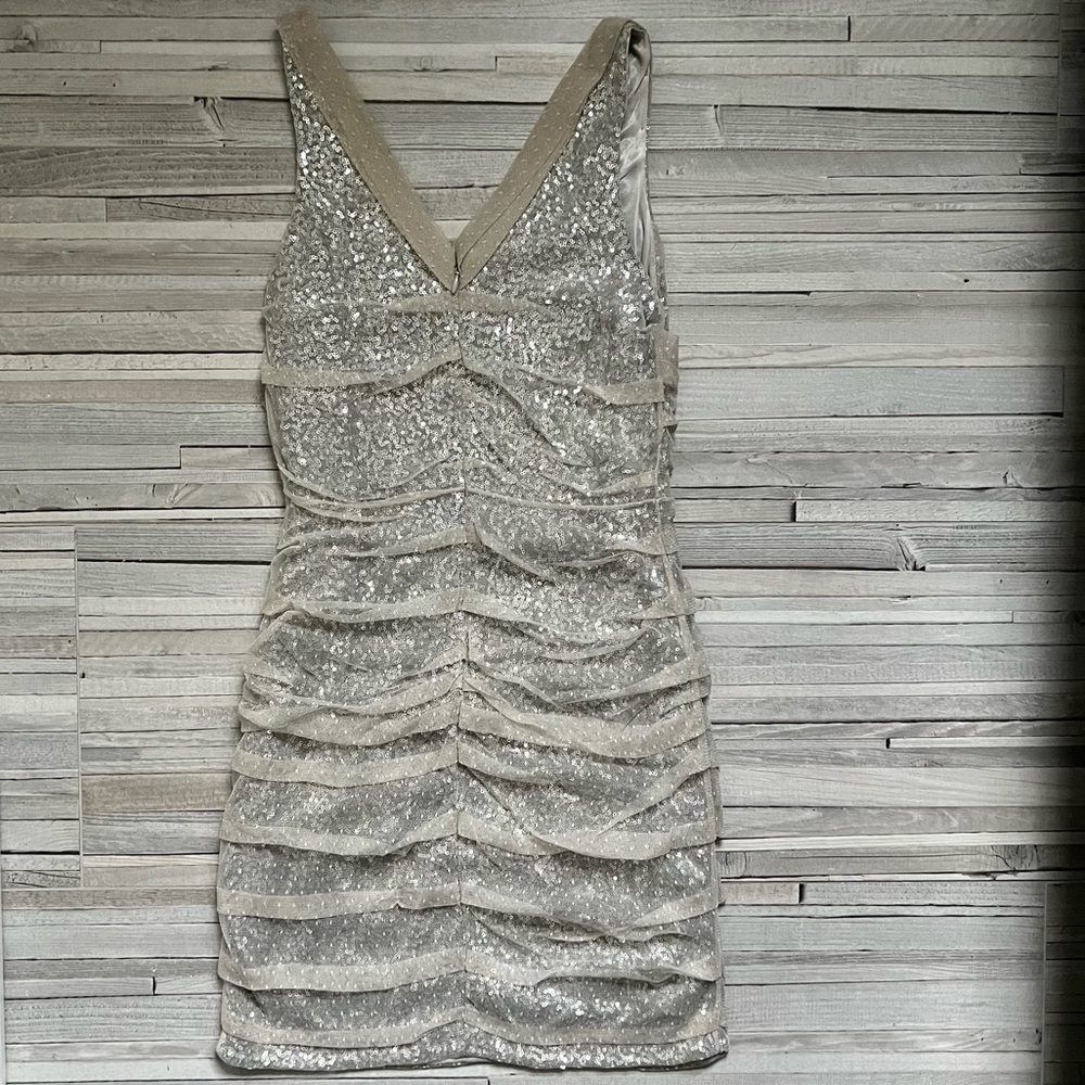 Express Silver Sequin Mesh Mini Dress – Size 6 - Picture 7 of 16